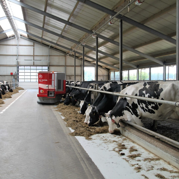 dairy-farm-2811887_1280